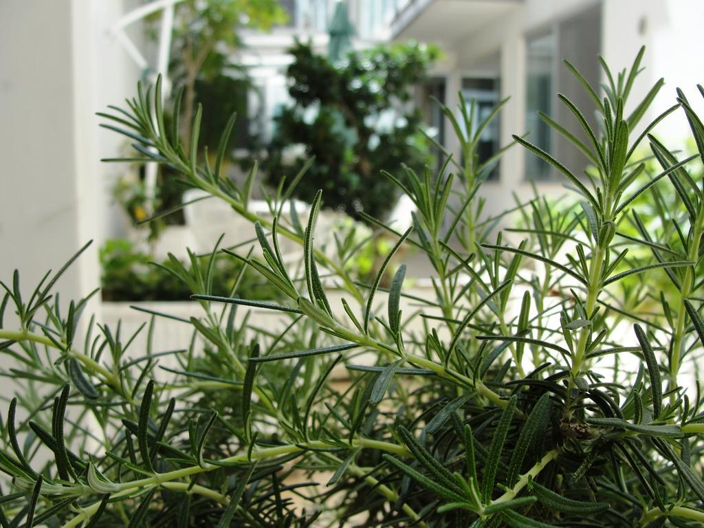 B&B Alma Grande Brindisi Exteriör bild